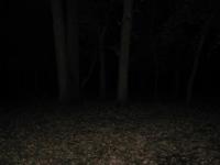 Chicago Ghost Hunters Group investigates Robinson Woods (182).JPG